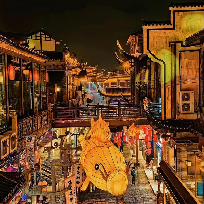 Night Illuminations
