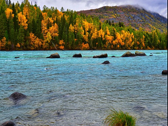 Kanas Lake with autumn foliage and snow-capped mountains in Northern Xinjiang