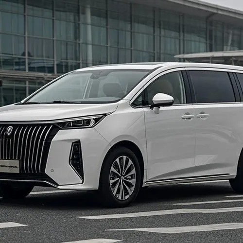 Private 7-seater MPV