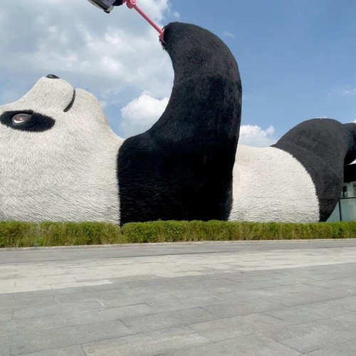Yantianwo Panda Square selfie panda