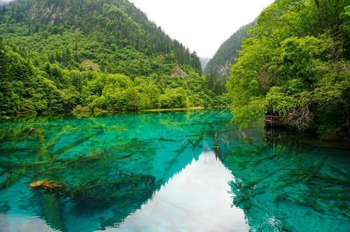 Jiuzhaigou waterfall in the forest