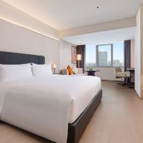 Canton Hotel Guangzhou king room